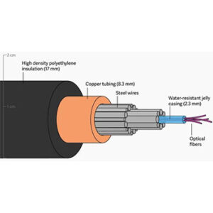 Fiber Optic Cable Suppliers in Kolkata